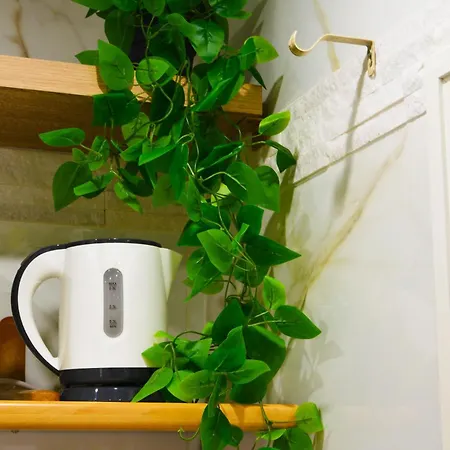 Apartamento Domus Zeus *